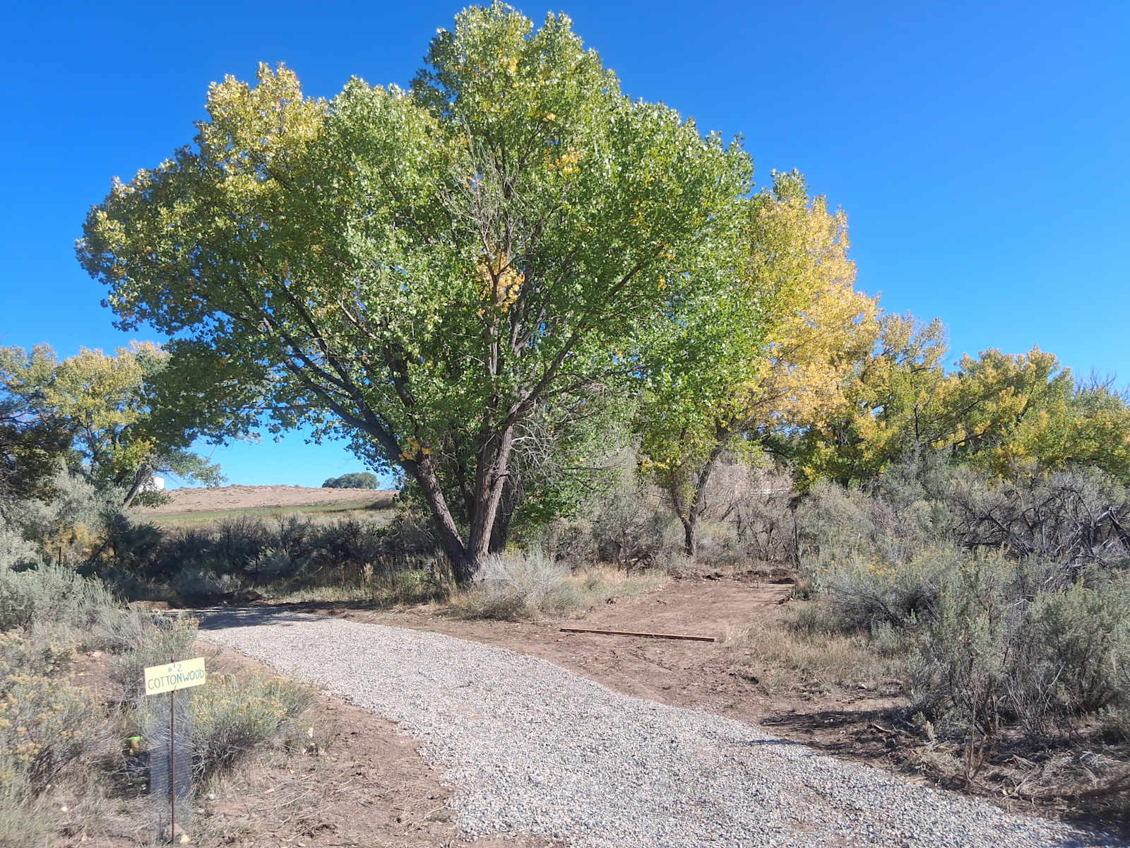 Four Corners' Dragonfly Camp - Cortez, Colorado - glamping.directory