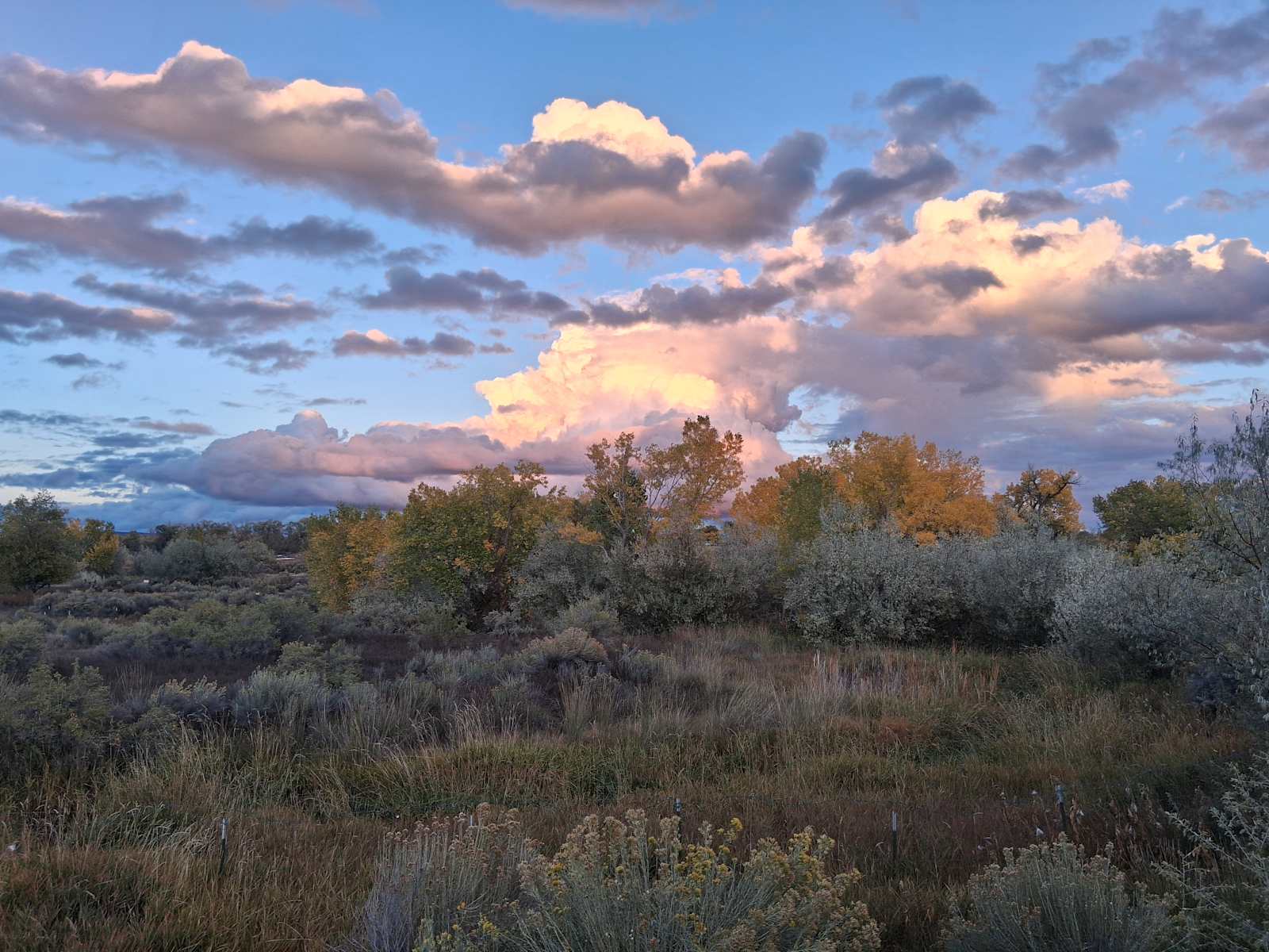 Four Corners' Dragonfly Camp - Cortez, Colorado - glamping.directory