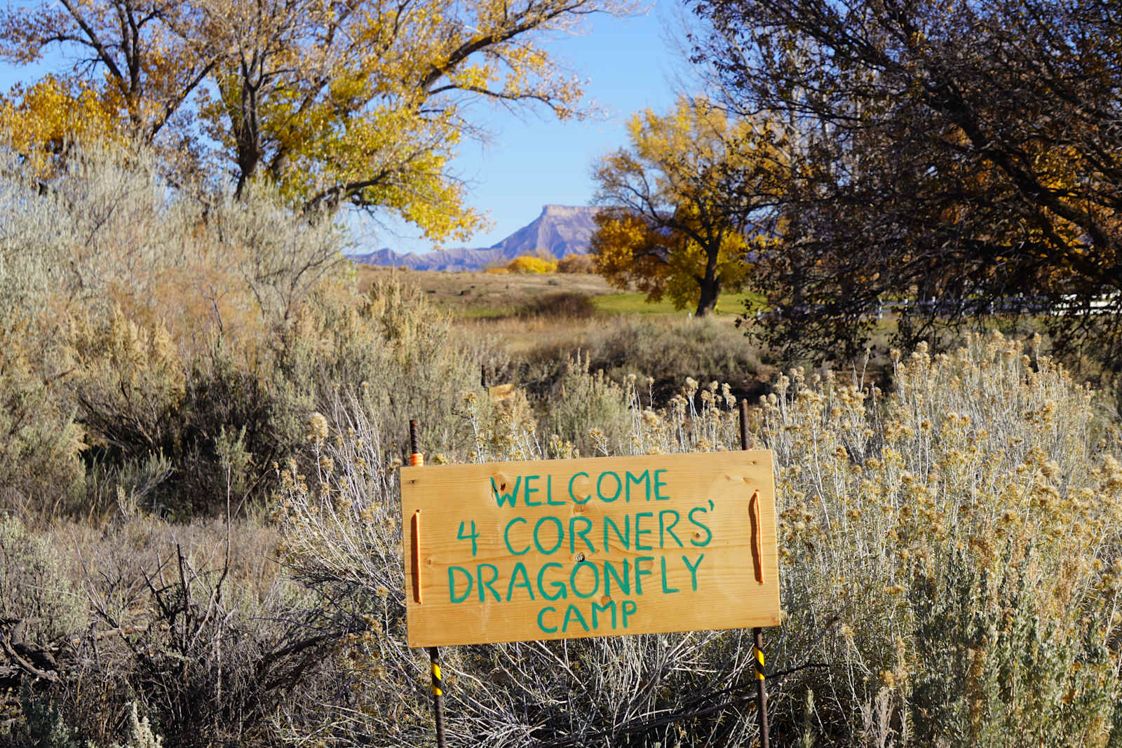 Four Corners' Dragonfly Camp - glamping.directory