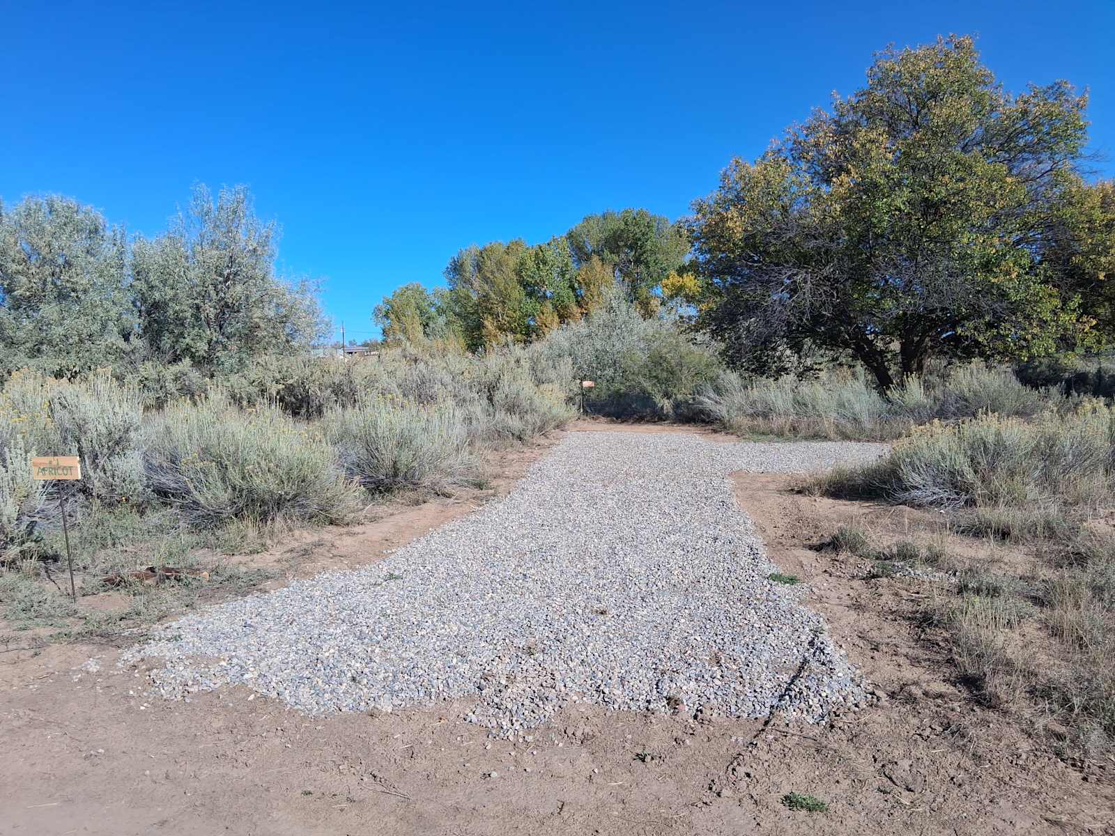 Four Corners' Dragonfly Camp - Cortez, Colorado - glamping.directory