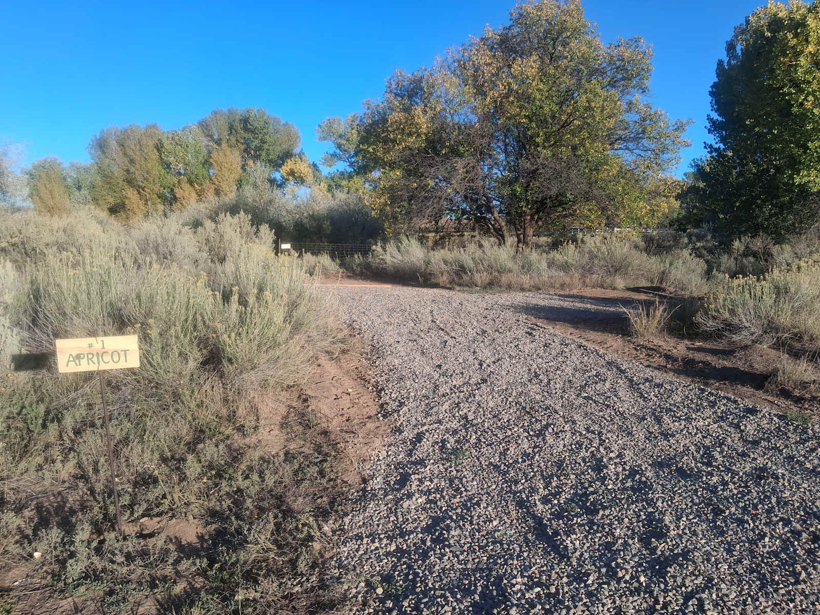 Four Corners' Dragonfly Camp - Cortez, Colorado - glamping.directory