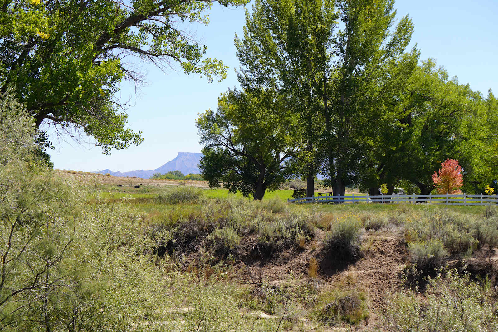 Four Corners' Dragonfly Camp - Cortez, Colorado - glamping.directory