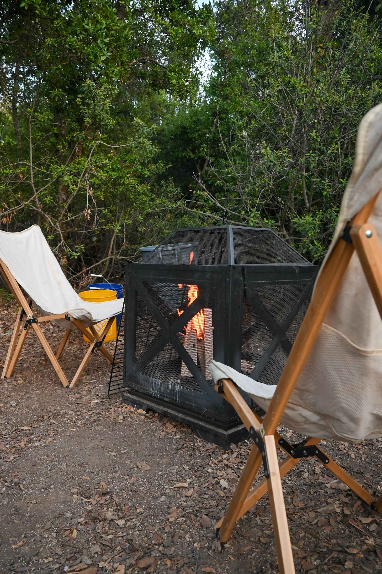 Camp Rewilding - Morgan Hill, California - glamping.directory