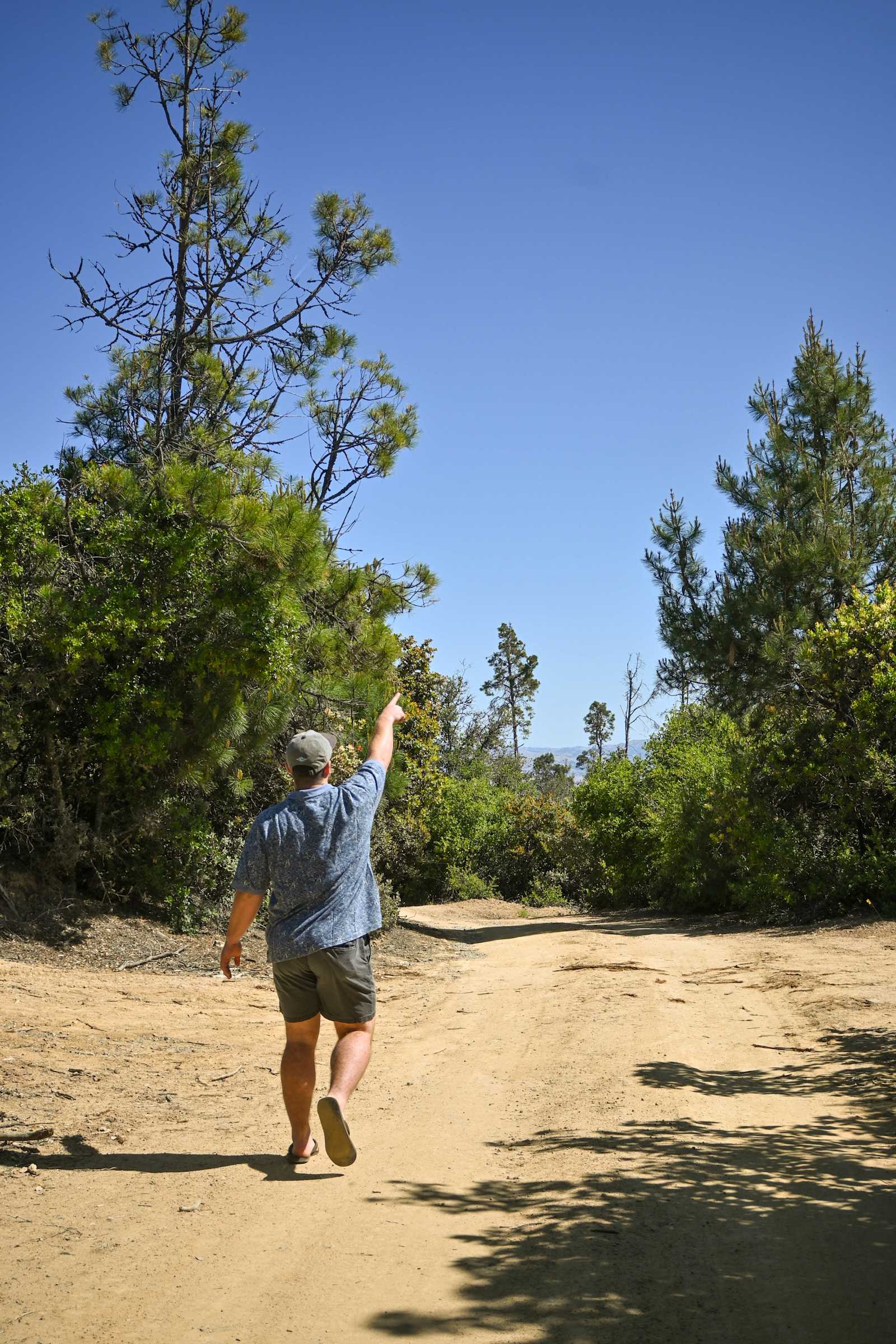 Camp Rewilding - Morgan Hill, California - glamping.directory