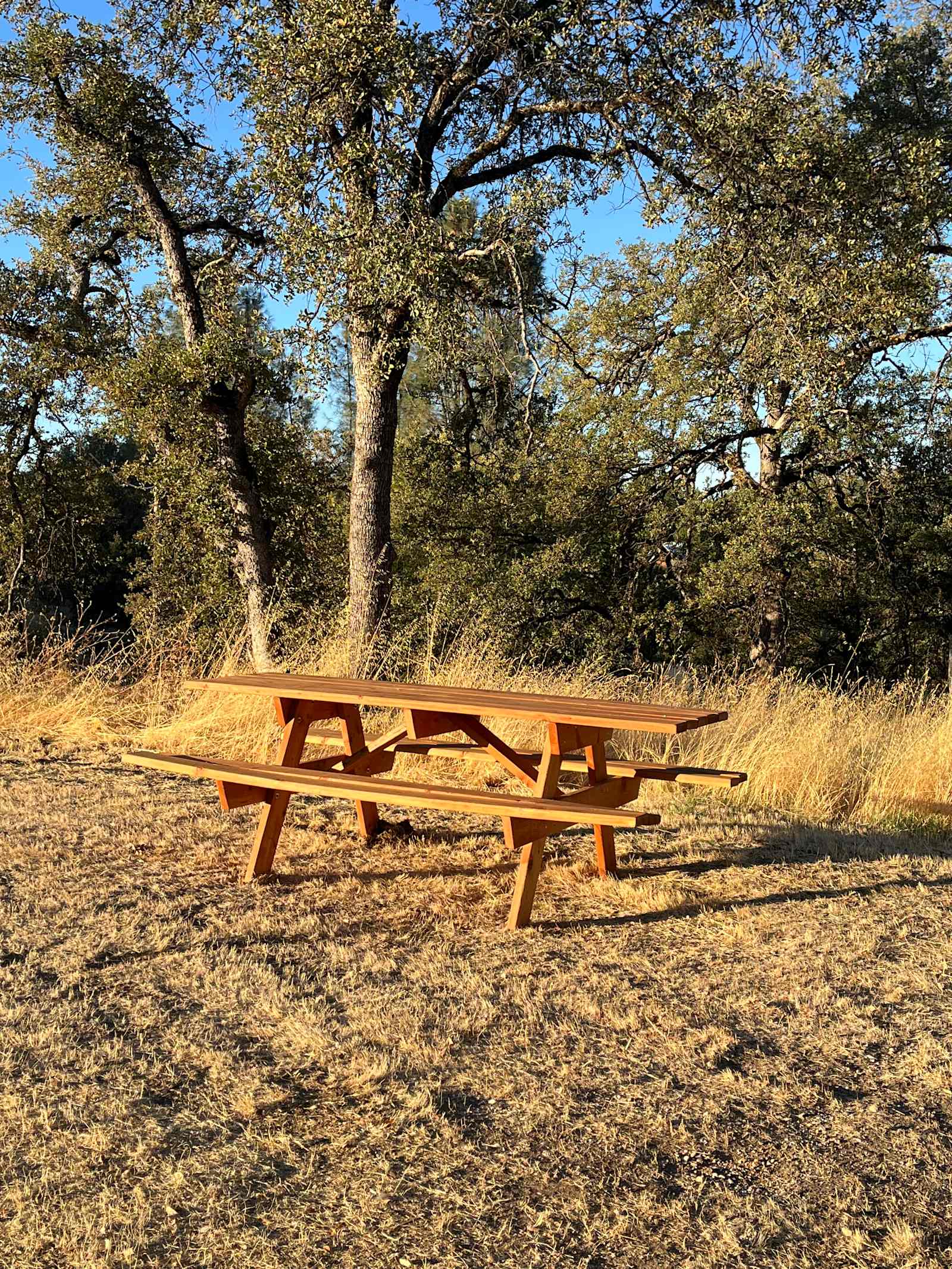 Jones Bar Farm - Nevada City, California - glamping.directory