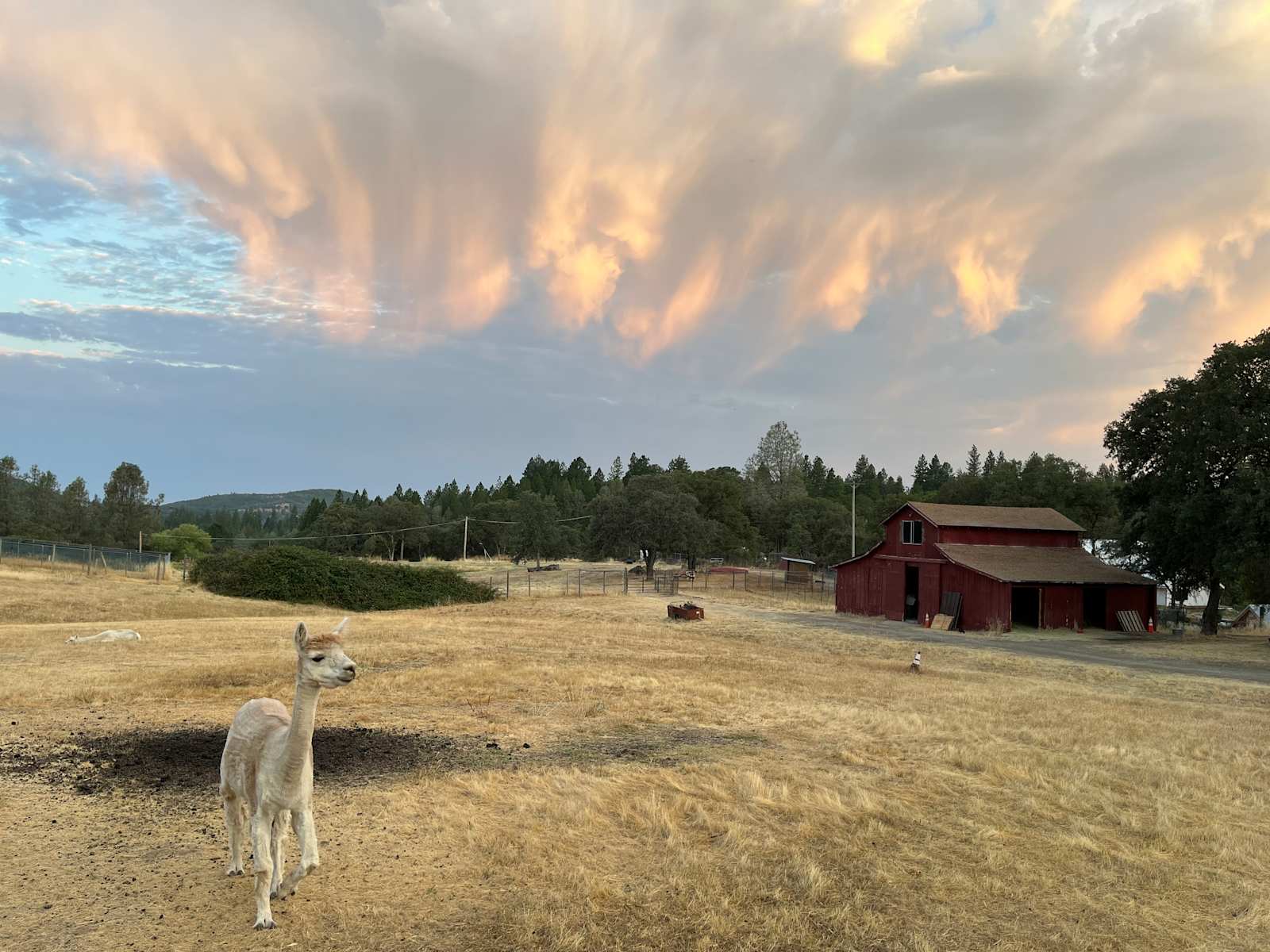 Jones Bar Farm - Nevada City, California - glamping.directory