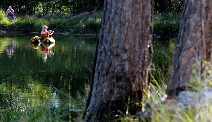 All-Inclusive Two-Story Ranch Cabin on the Banks of Antelope Lake, Northern California - Macdoel, California - glamping.directory