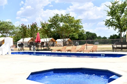 Safari Tent Glamping Dreams Come True: Stay in Cibolo, Texas - Cibolo, Texas - glamping.directory