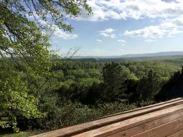 Secluded Cabin Rental near the Spectacular Ozarks of Arkansas - St. Joe, Arkansas - glamping.directory
