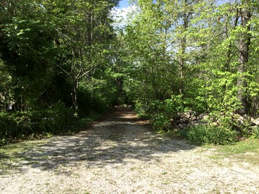 Secluded Cabin Rental near the Spectacular Ozarks of Arkansas - St. Joe, Arkansas - glamping.directory