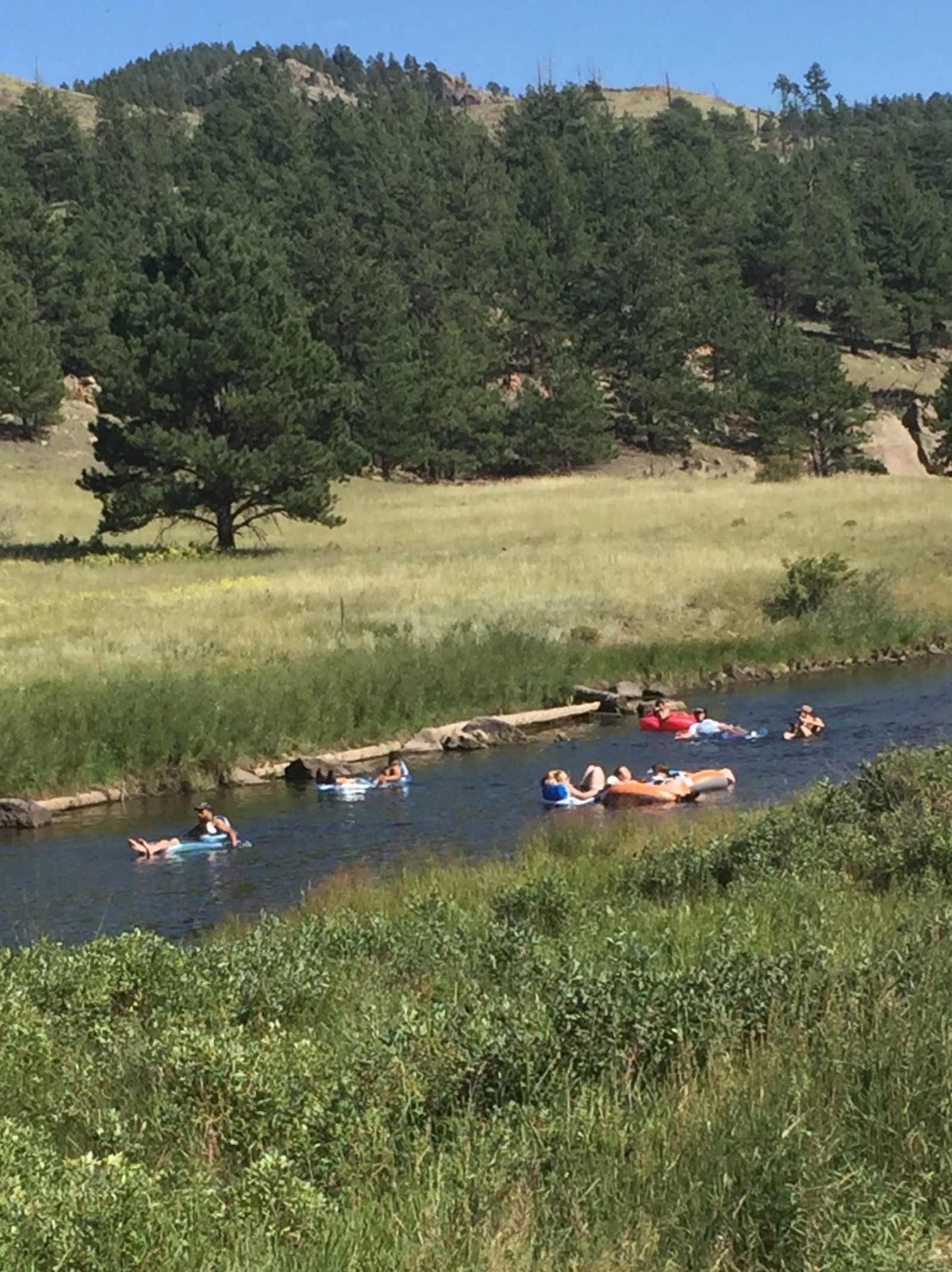 Cabin, RV & RV Site by Muller Park - Divide, Colorado - glamping.directory