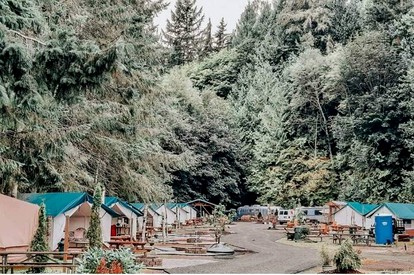 Olympic National Forest Glamping Village for the Ultimate Northwest Outdoor Adventure - US, Washington - glamping.directory