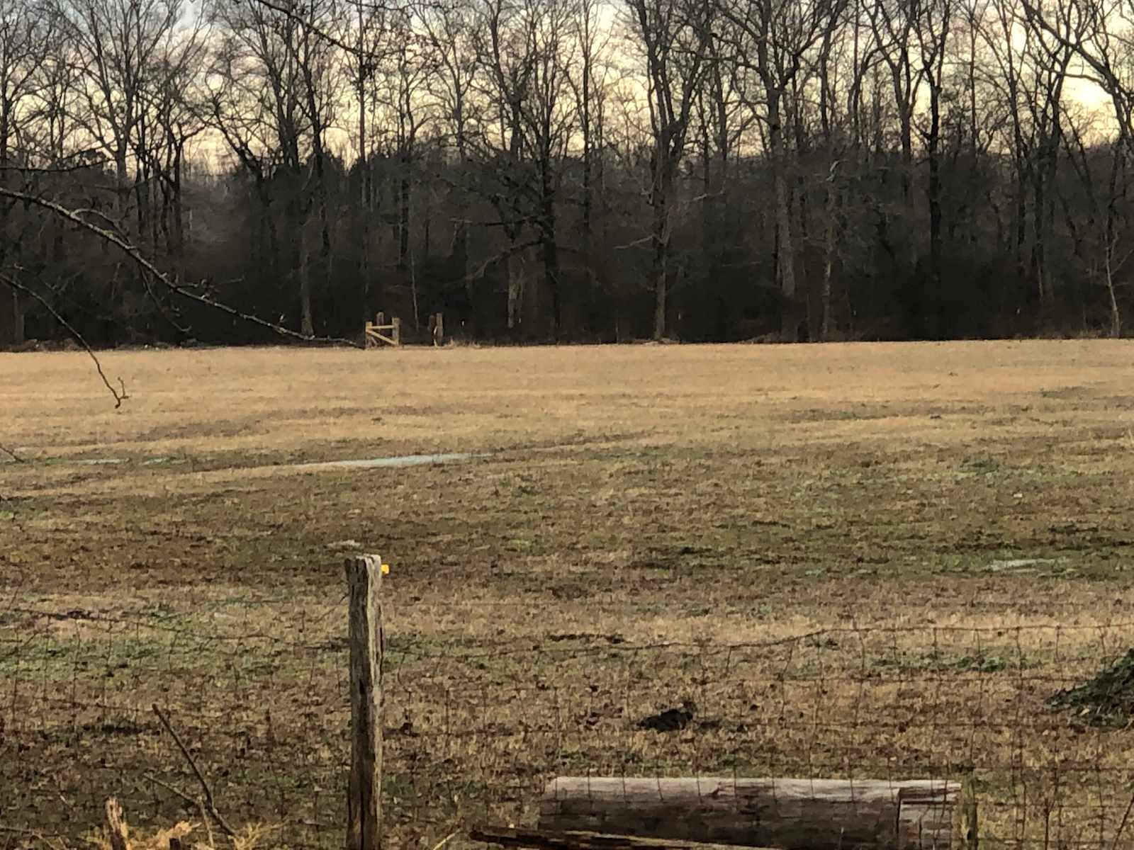 Platos Branch Farm RV park - Rogersville, Alabama - glamping.directory