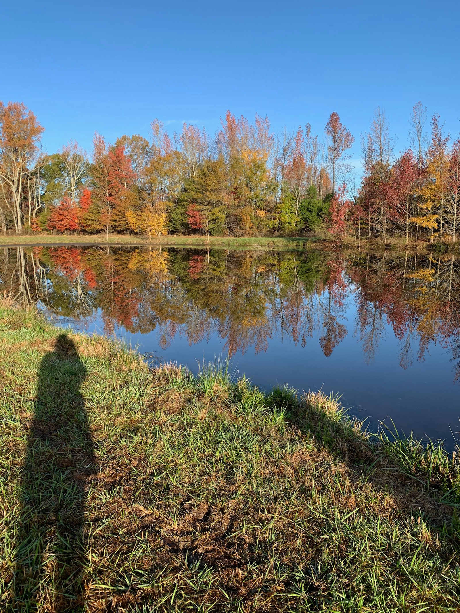 Platos Branch Farm RV park - Rogersville, Alabama - glamping.directory