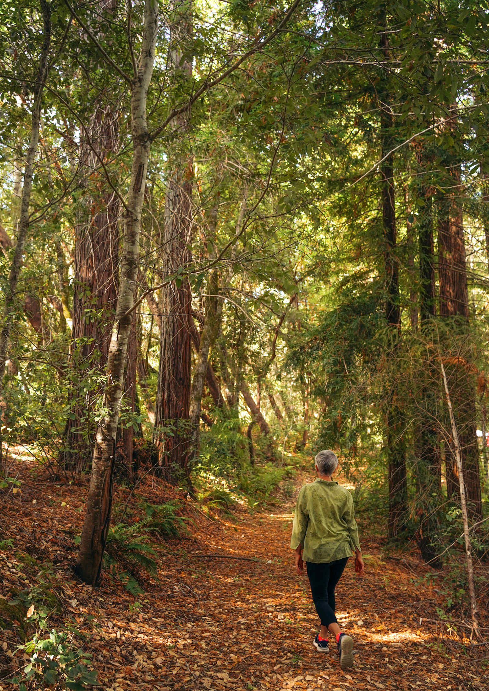 Butterfly Landing🦋🦋🦋 - Philo, California - glamping.directory