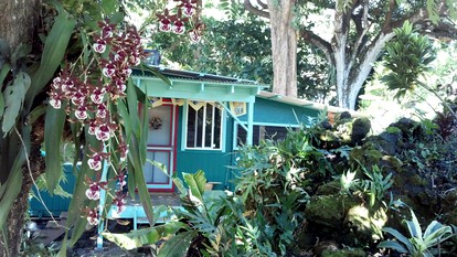Sweet Cottage, Magical Grottos and Stunning Coastline in Kehena, Hawaii - glamping.directory