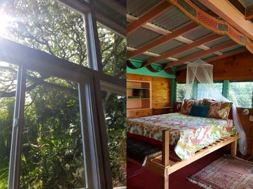 Sweet Cottage, Magical Grottos and Stunning Coastline in Kehena, Hawaii - Kehena, Hawaii - glamping.directory