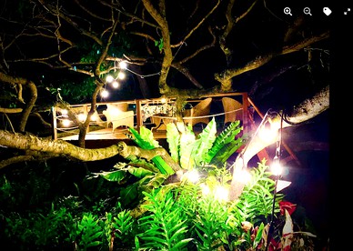 Sweet Cottage, Magical Grottos and Stunning Coastline in Kehena, Hawaii - Kehena, Hawaii - glamping.directory