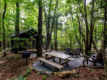 Secluded Forest Paradise: Cozy Cabin on 150 Acres in Transylvania County, NC - Transylvania County, North Carolina - glamping.directory