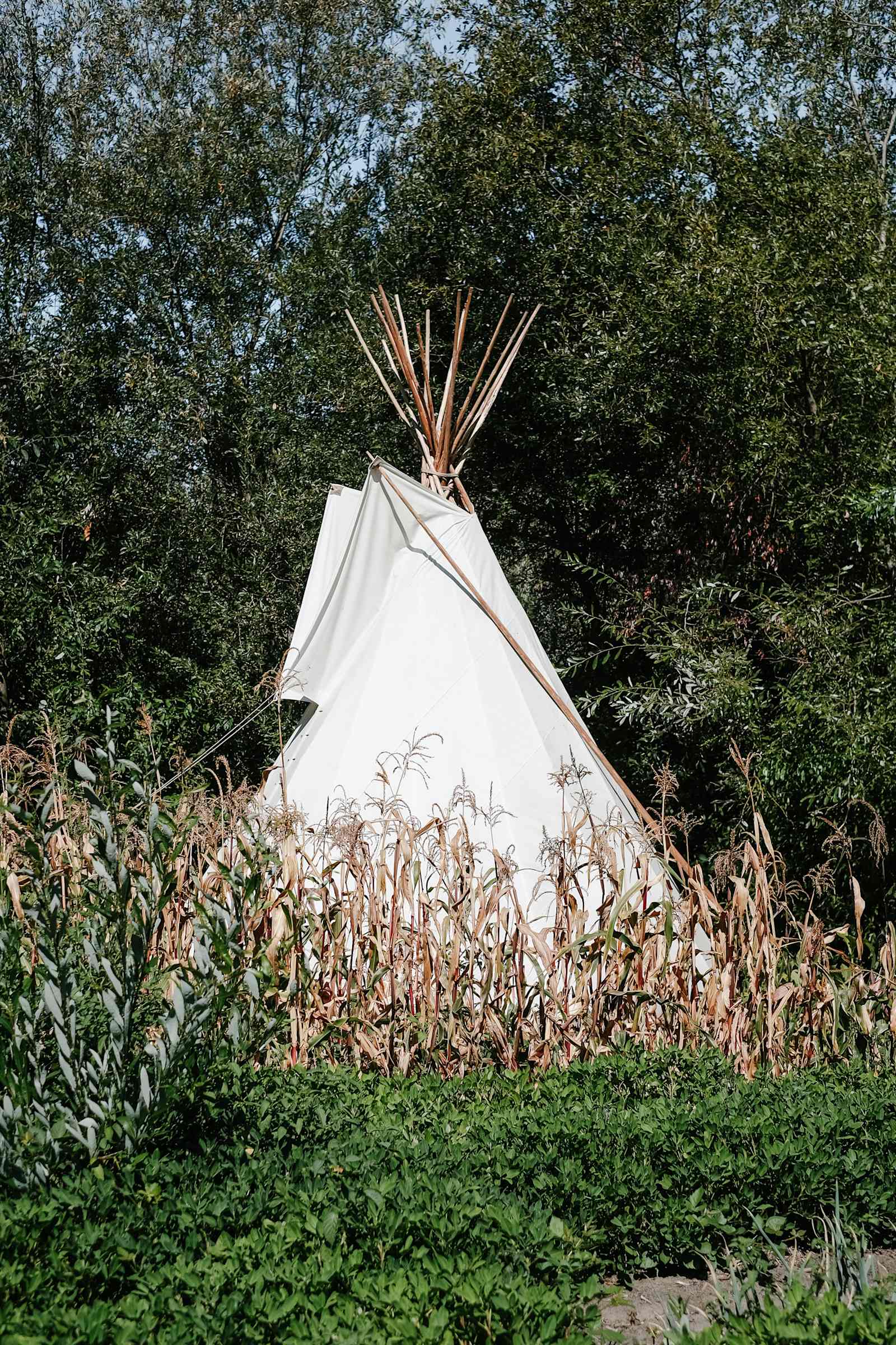 Redwoods Bend Retreat - glamping.directory