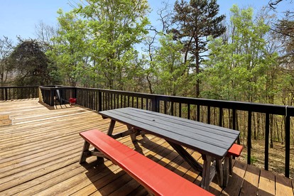 Vibrant Woodland Cabin Sanctuary near Great Cacapon River in West Virginia - Mathias, West Virginia - glamping.directory