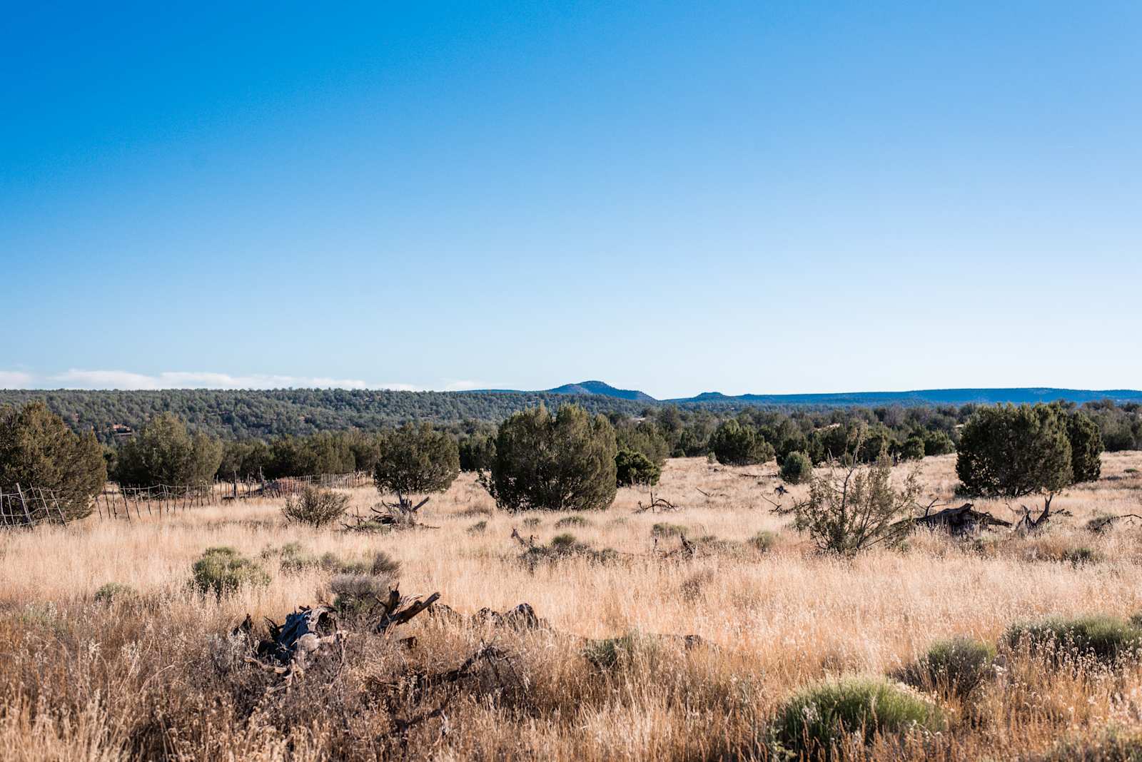 A Spark in the Dark Campground - Ash Fork, Arizona - glamping.directory