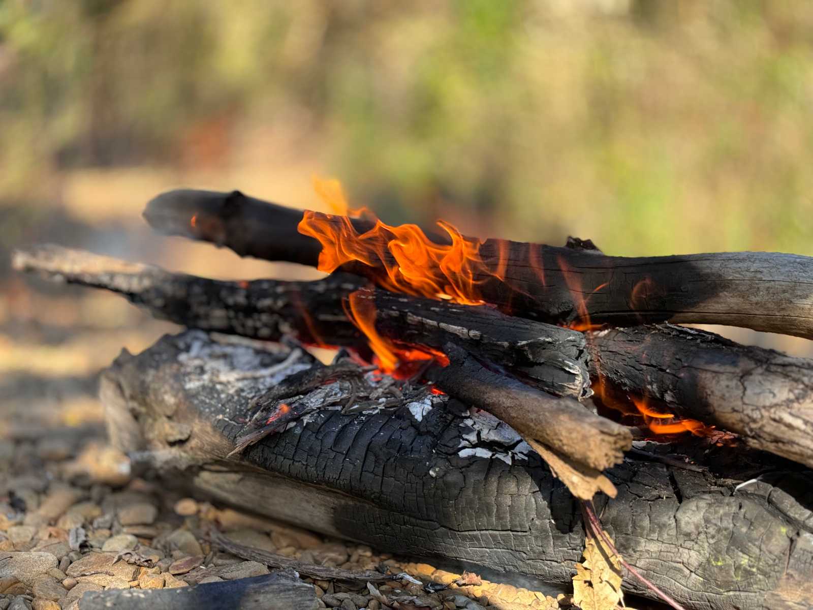 Pink Paddler Place - Knoxville, Arkansas - glamping.directory