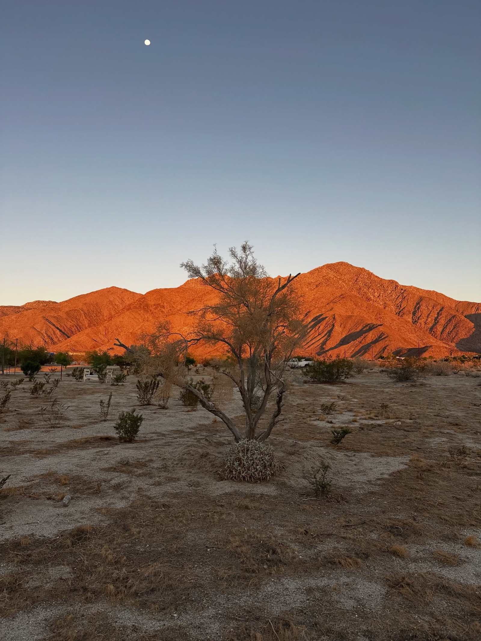 Dark Sky Silent Retreat - Borrego Springs, California - glamping.directory