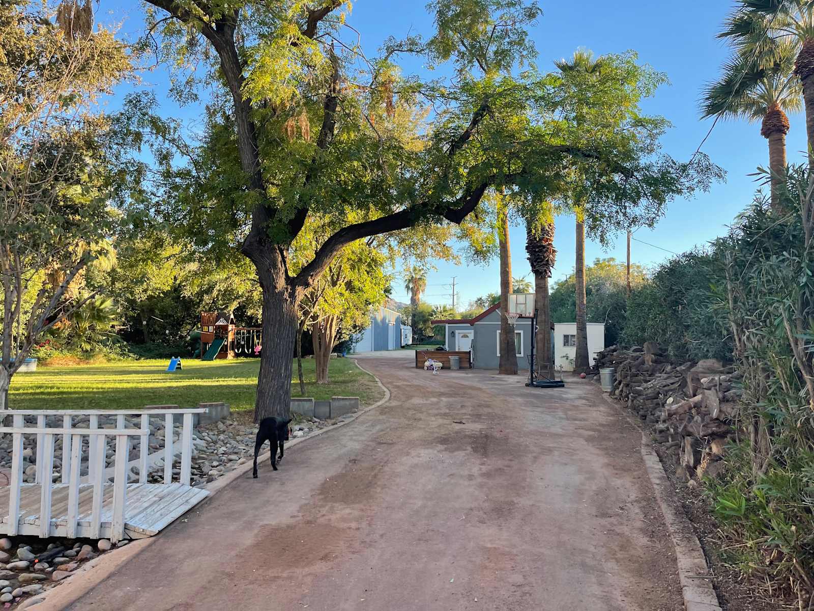 Back yard oasis - Phoenix, Arizona - glamping.directory