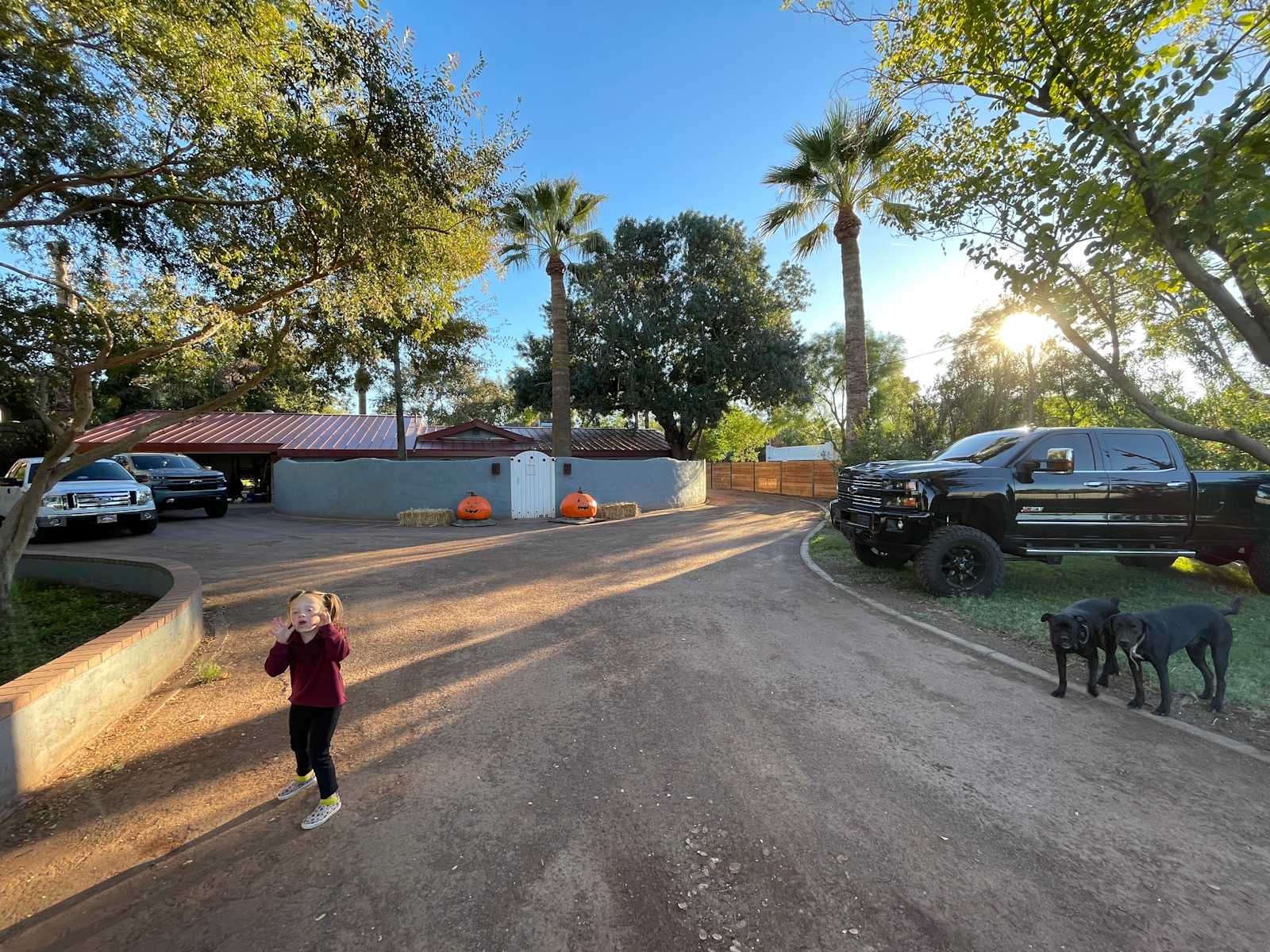 Back yard oasis - Phoenix, Arizona - glamping.directory