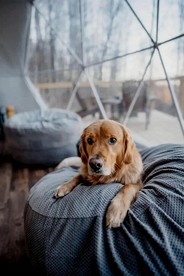 Off-Grid Dome with Private Hot-Tub and Spectacular Sunrise Views in Tennessee - Altamont, Tennessee - glamping.directory
