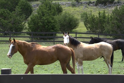 Peaceful Ranch Getaway with Scenic Trails on Private Hill Country Estate near Bandera, Texas - Bandera, Texas - glamping.directory