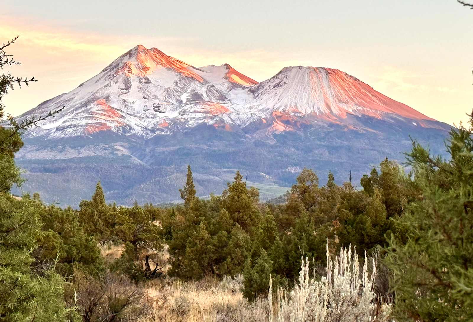 Puma Landing with Mt Shasta Views - glamping.directory