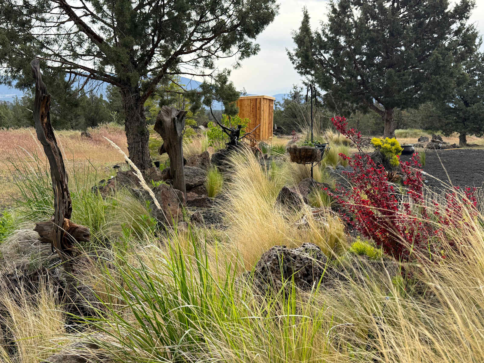 Puma Landing with Mt Shasta Views - Montague, California - glamping.directory