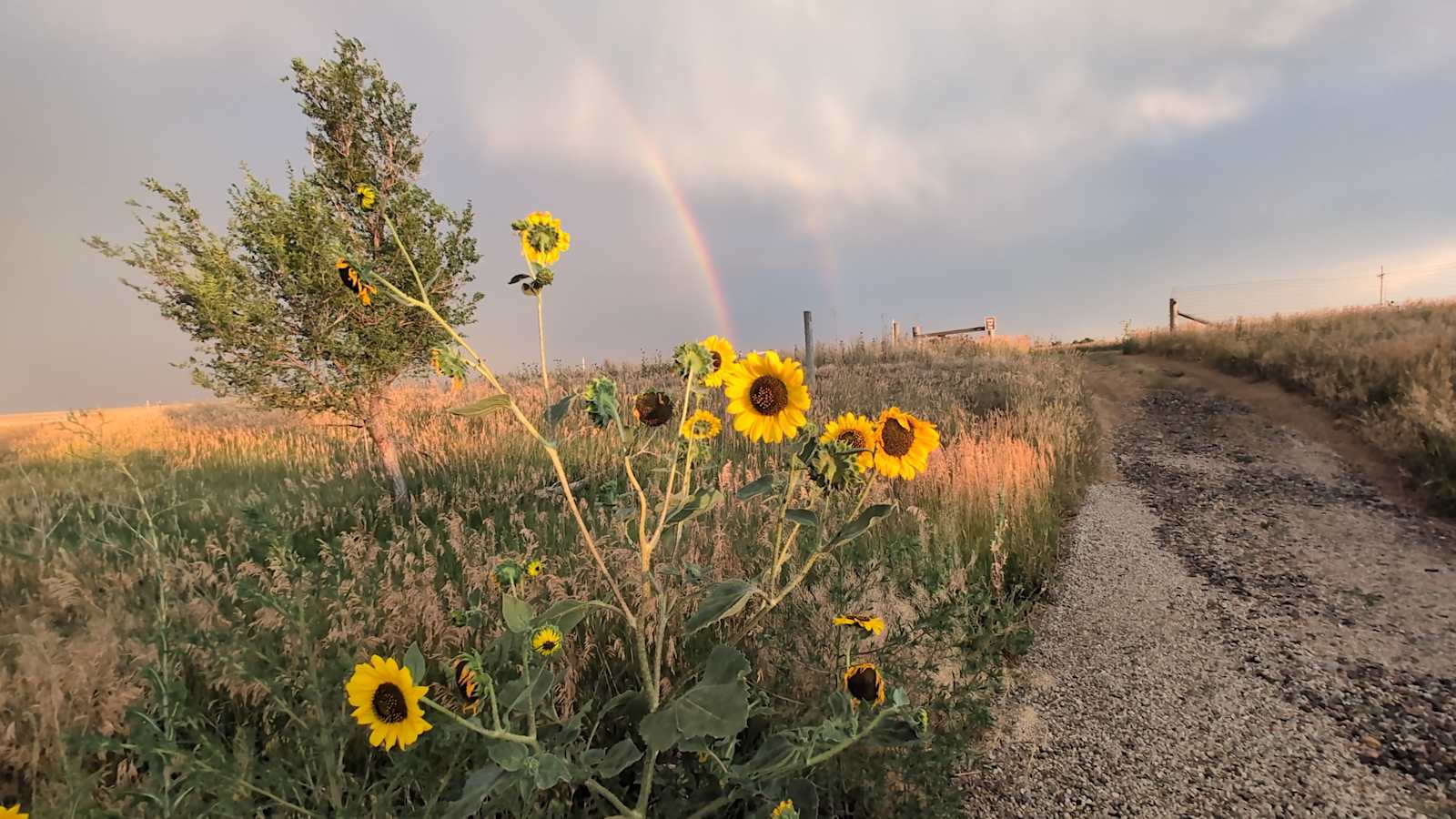 Apollo Ranch - Bennett, Colorado - glamping.directory