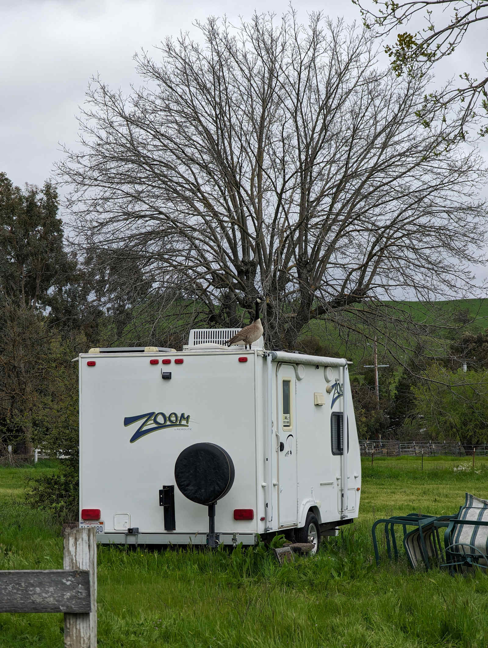 10000 Ranch - Gilroy, California - glamping.directory
