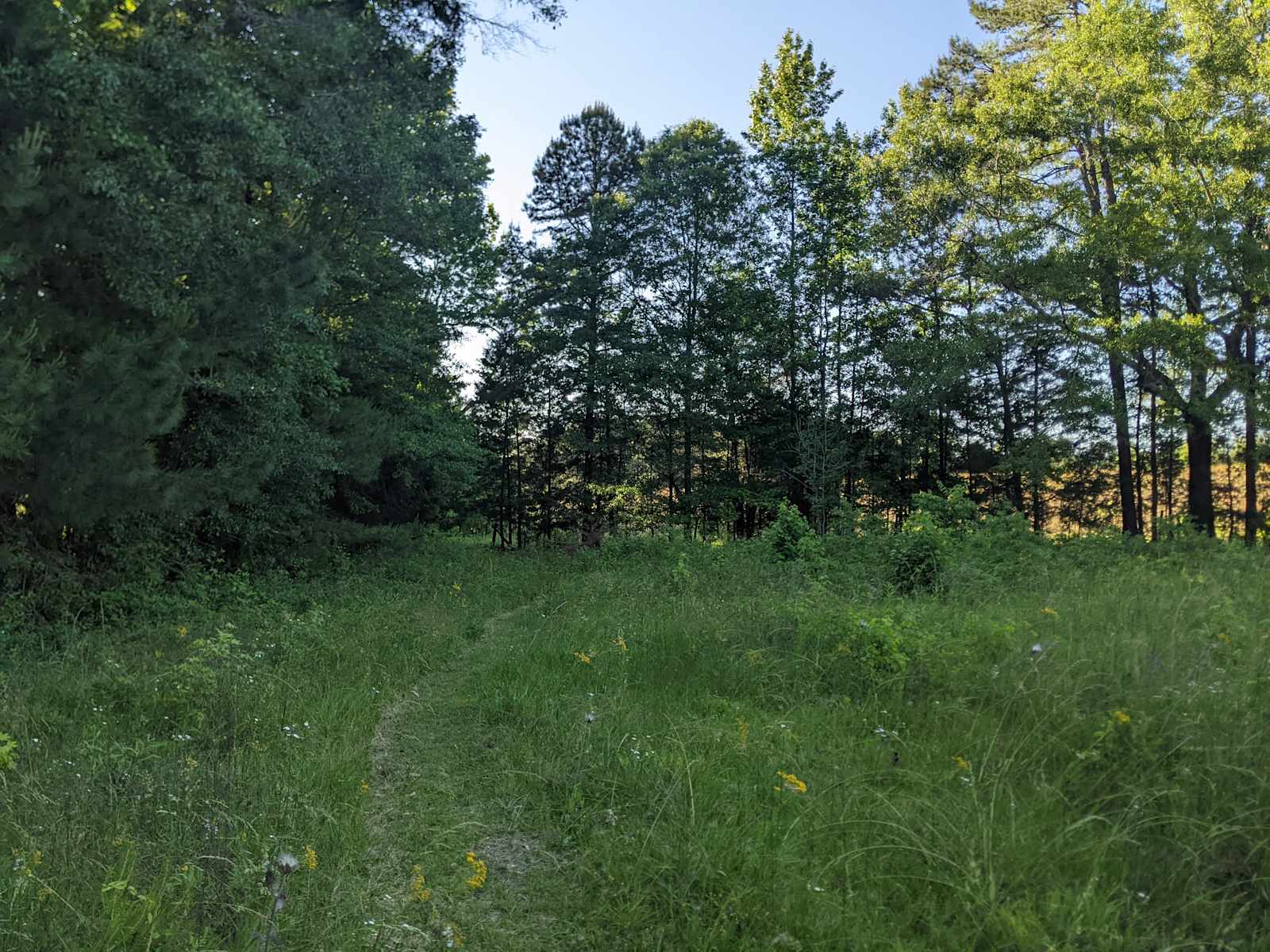 Camp in Camp Hill! - Camp Hill, Alabama - glamping.directory