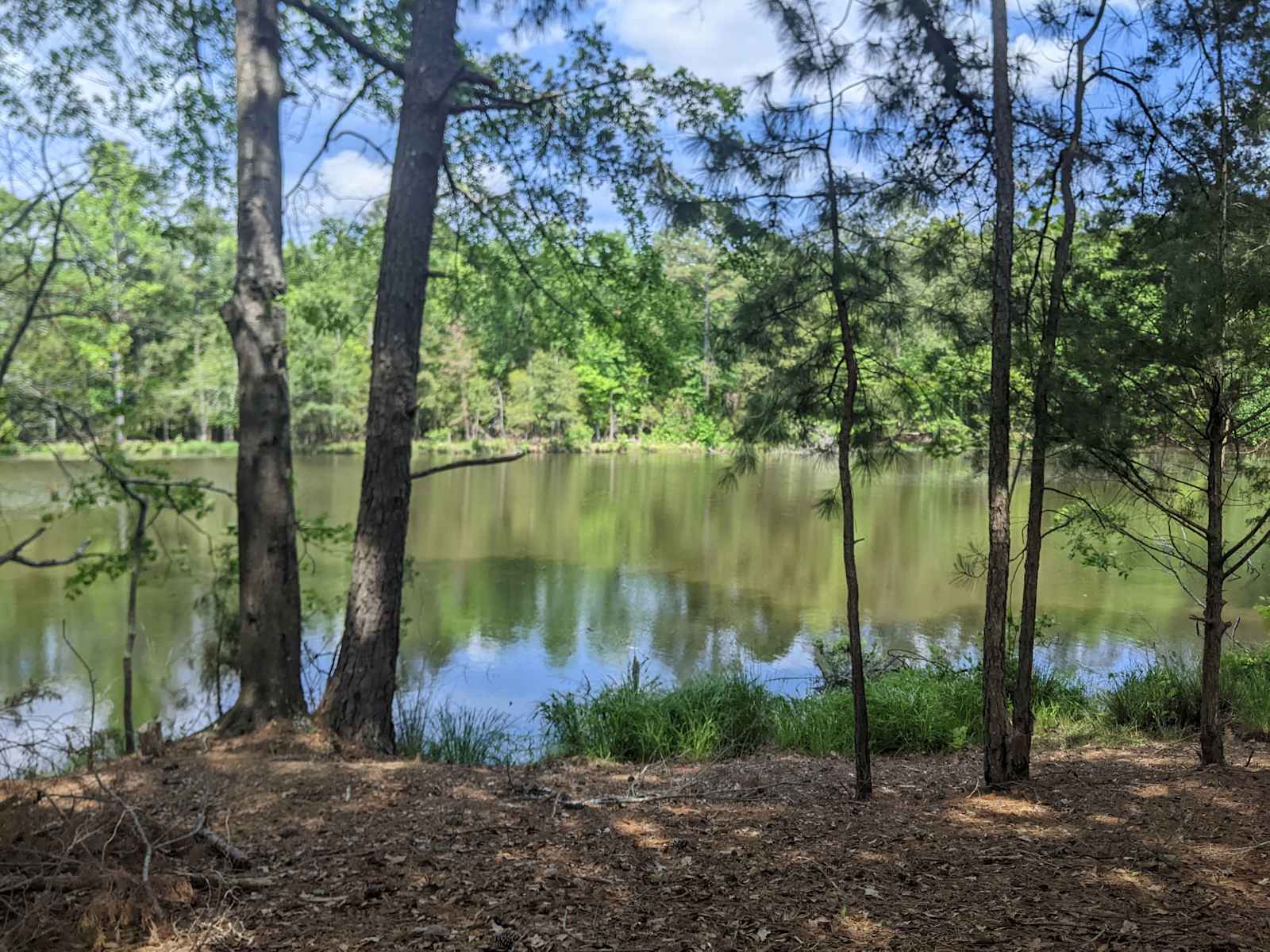 Camp in Camp Hill! - Camp Hill, Alabama - glamping.directory