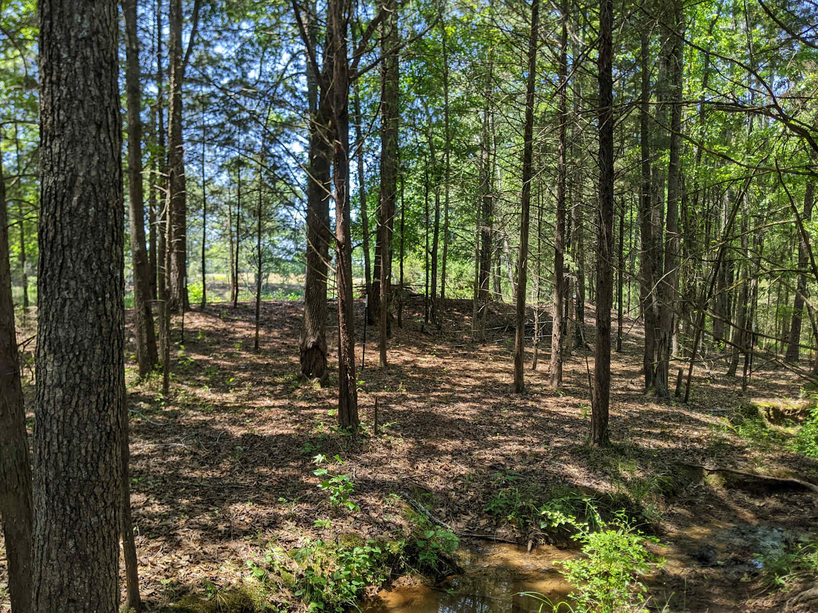 Camp in Camp Hill! - Camp Hill, Alabama - glamping.directory