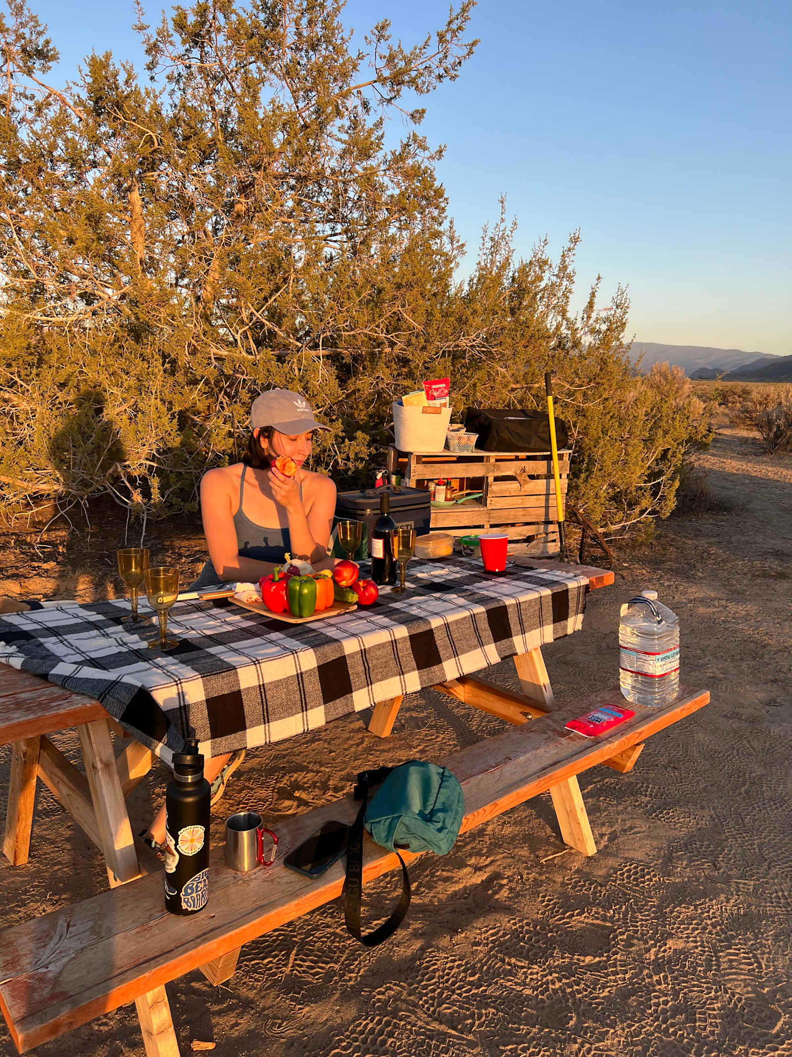 Campsite 3 & 4 - Cuyama, California - glamping.directory