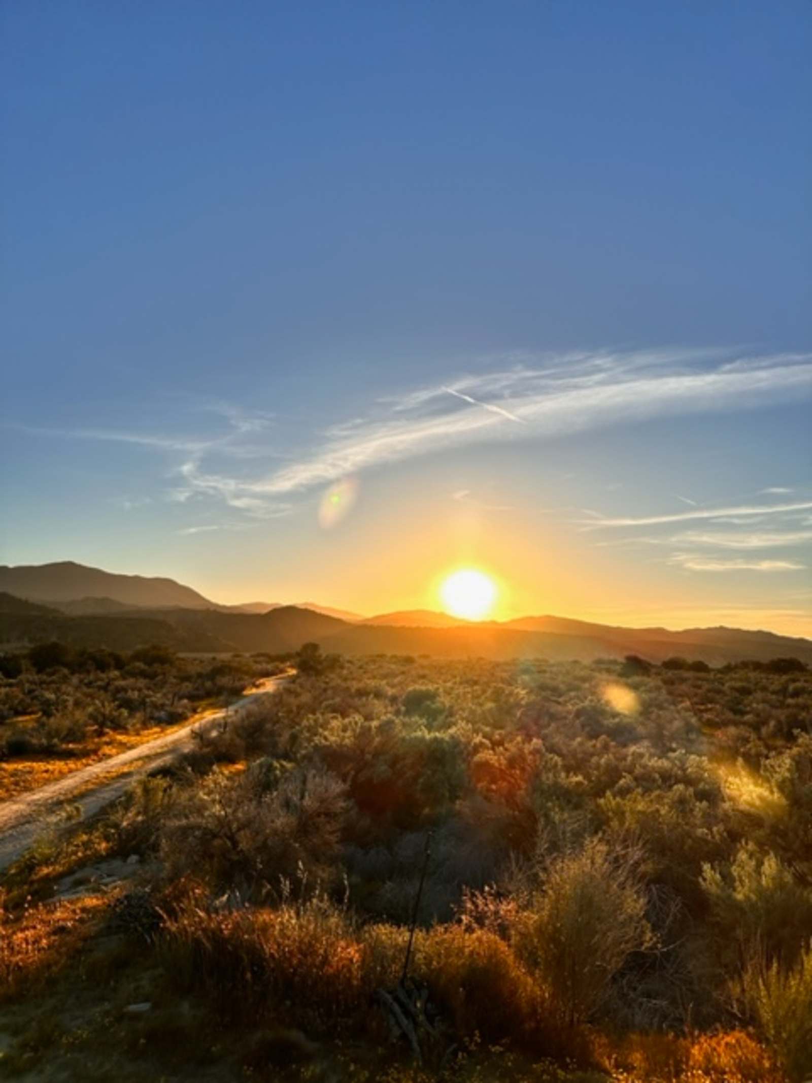 Campsite 3 & 4 - Cuyama, California - glamping.directory