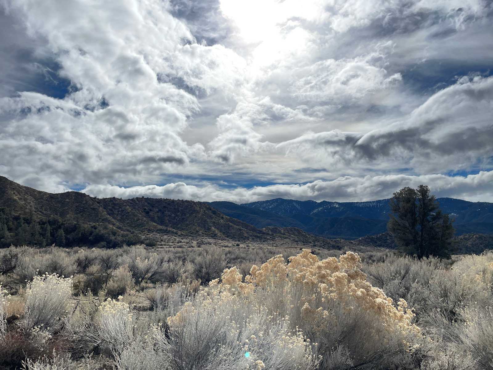 Campsite 3 & 4 - Cuyama, California - glamping.directory