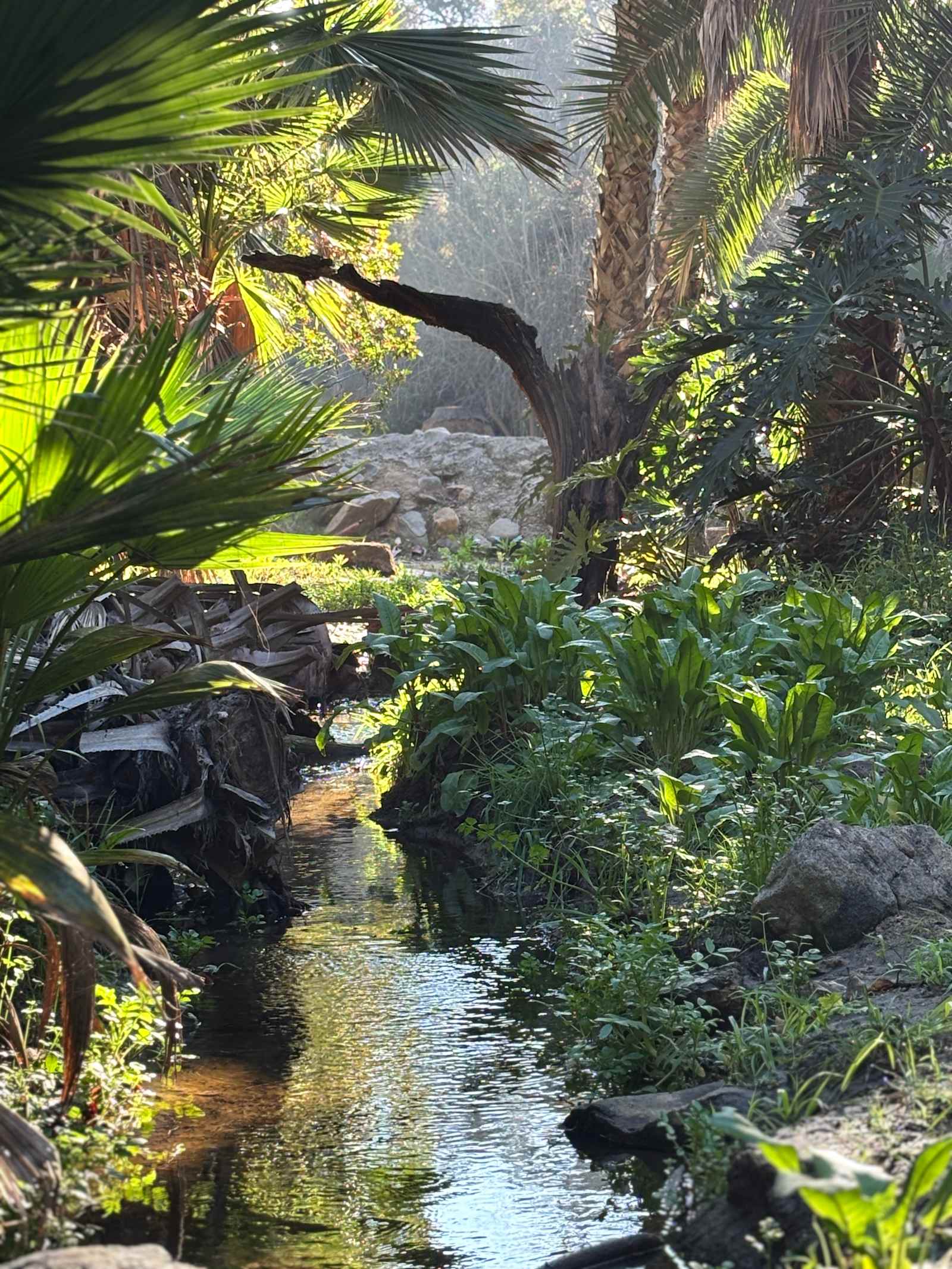 Hidden Waters - Vista, California - glamping.directory