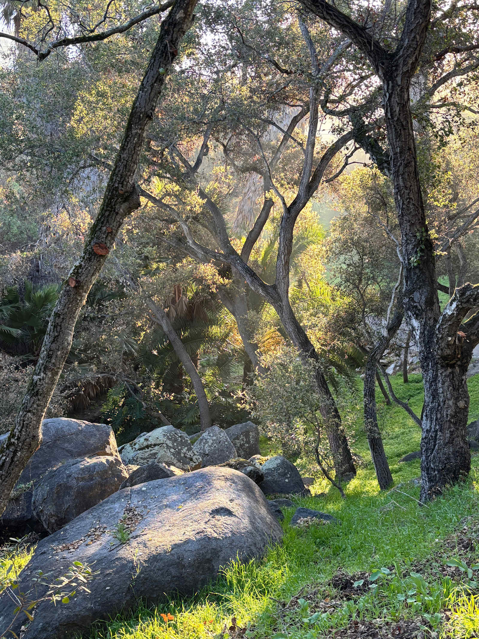 Hidden Waters - glamping.directory