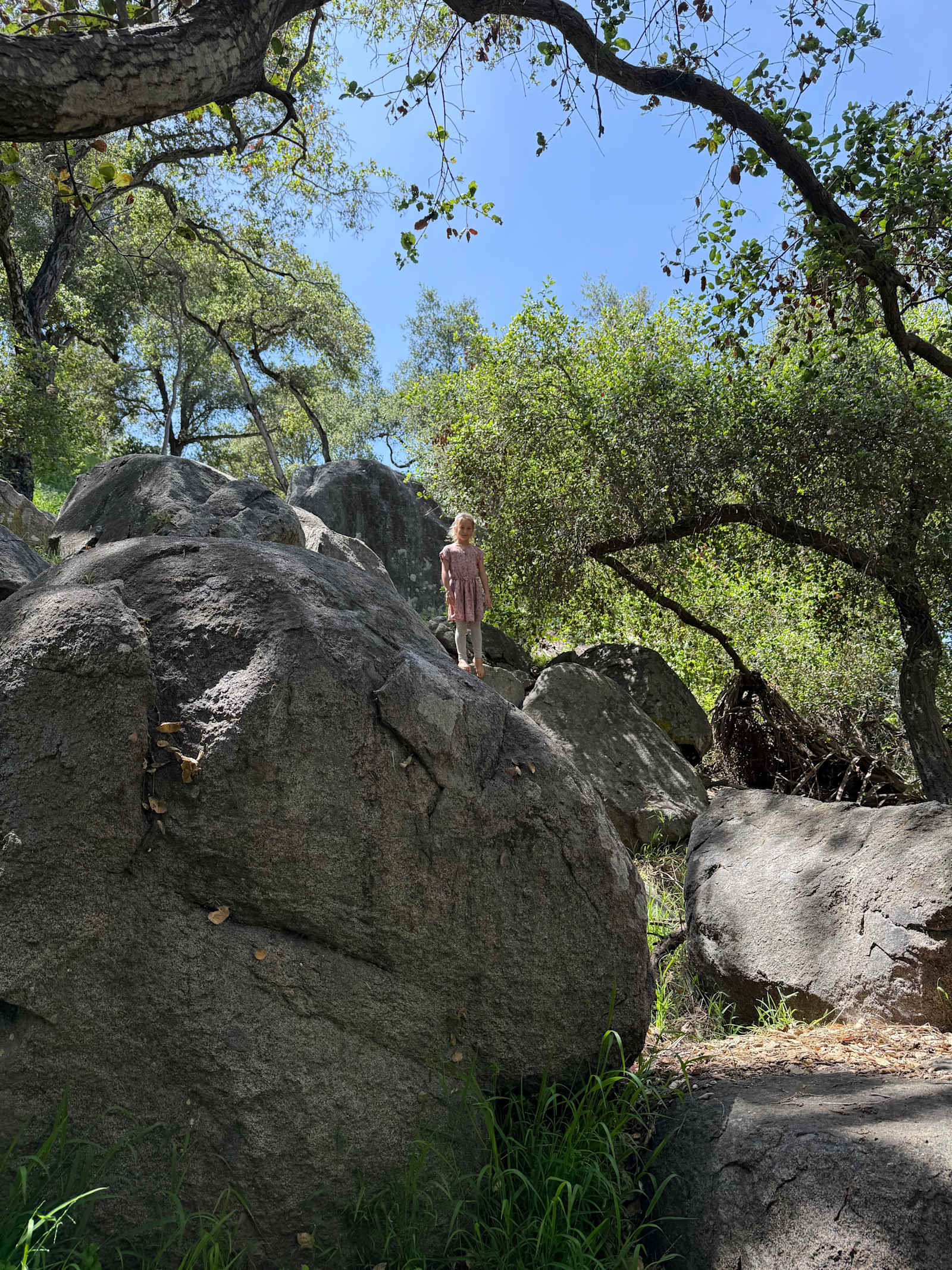 Hidden Waters - Vista, California - glamping.directory