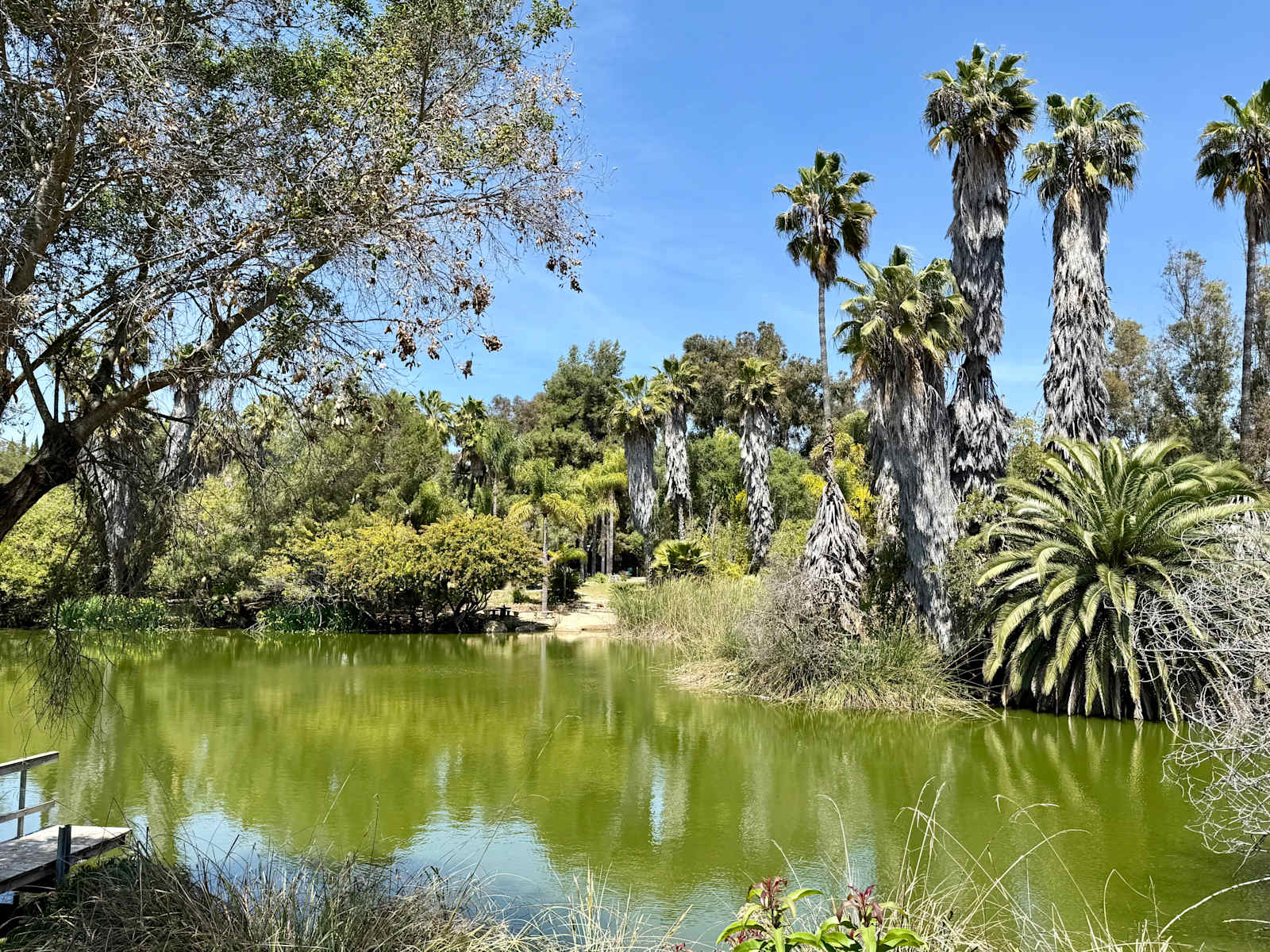 Hidden Waters - Vista, California - glamping.directory