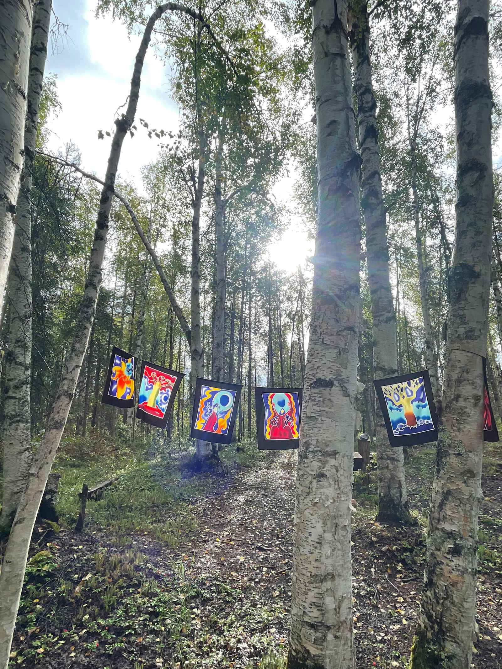 Little Bear Wilderness Retreat - Talkeetna, Alaska - glamping.directory