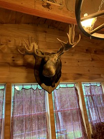 Spacious Adirondacks Cabin for a Family Getaway in New York State - Glenfield, New York - glamping.directory
