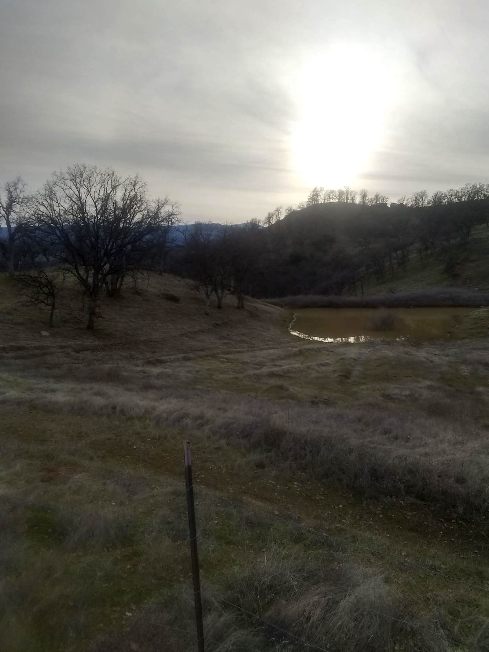 CAMP GADSON GARDEN - Shasta, California - glamping.directory