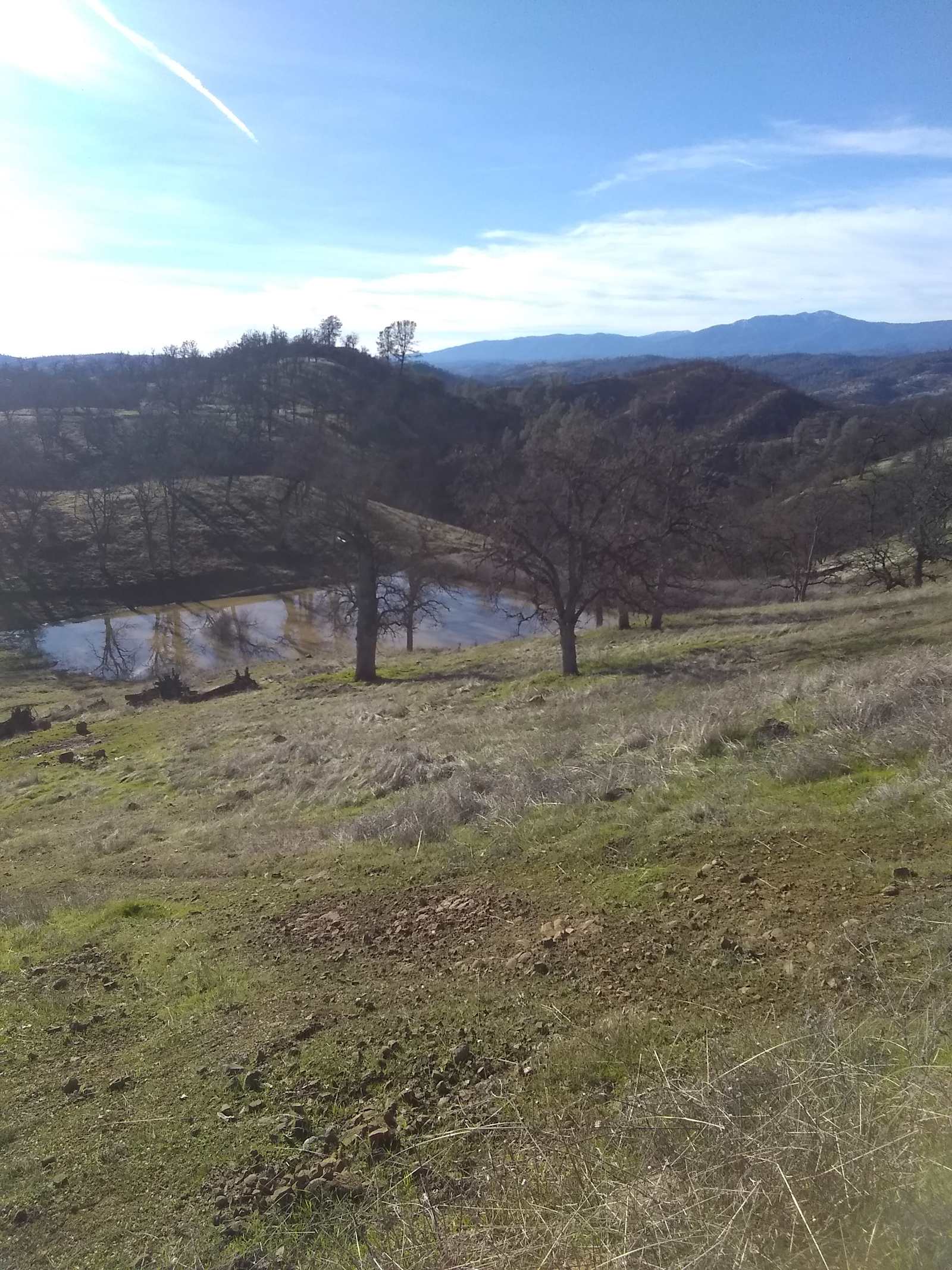 CAMP GADSON GARDEN - Shasta, California - glamping.directory